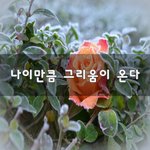 [너가봤으면] 나이만큼 그리움이 <b>온다</b>~