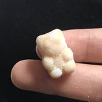 [ㅈㄱㄴ] ㅅㅂ 아빠가 영양제젤리 주는데 ㅈ<b>노</b><b>맛</b>