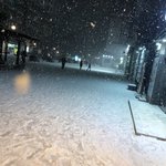 [드루와] 지금 서울 눈오는데 겁나 잘찍음!!