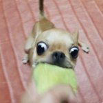 오늘 순공 2시간 <b>미만</b> 추천 ㅋㅋㅋㅋ