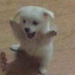 <b>야들</b>아 나 ㄹㅇ수시적폐임