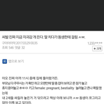 이건 무슨 <b>커</b><b>뮤</b>임?