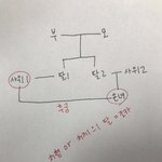 나 개족보 발견함