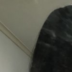 걍 제일 ㅈ같은 거<b>지존</b>임 지금