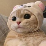 [댓글부탁해] 원래 방송국카메라가 부하게나오나?