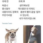 [드루와] 너네라면 이 상황에 어케할꺼임?