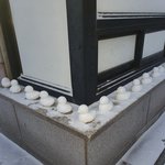[이것좀봐줘] 울아파트 <b>오리</b>들