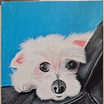 그림 배워본적 없는데 잘그림?