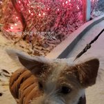 눈와서 <b>신난</b> 아이돌들ㅎㅎ