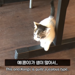 <b>이명학</b> 알고리즘 하는사람 있니 혹시..