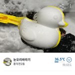 [댓글부탁해] 당근마켓 눈<b>오리</b> 개졸귀닼ㅋㅋ