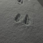 [댓글부탁해] 전남친한테 <b>디엠옴</b>