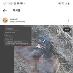 [드루와] 고양이 먹고 뼈를 발라 자랑하는 옵<b>챗방</b>