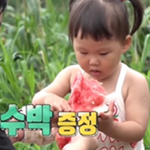 도경완의 <b>수박</b> 한 입
