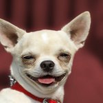 [NCT즌] 젠오는 묘한 <b>손길</b>로 런준이를 만져