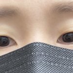 나도 쌍수 추반좀