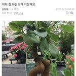 하.. 요즘 데이식스 노래가 너무 좋다
