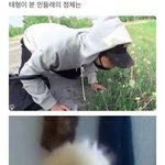 [댓글부탁해] 본진 웃긴짤 풀고가줘