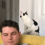 [드루와] 내 친구 진짜 미친거 같아