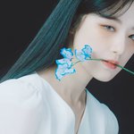 아이들티저 봣는데