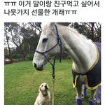 [댓글부탁해] 손 작은애들 아이폰 12