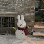 [댓글부탁해] 나 무쌍인데 <b>아라</b> 추천해줘