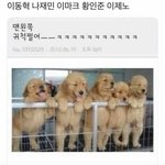 [NCT즌] 난 여기서