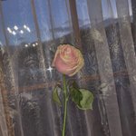 [댓글부탁해] 빈말일수 있지만 짝남이 <b>술약</b>잡을거래서