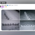 [방탄소년단] 이것도 뉴스를 탄다고요?