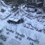 와 나 히키코모리라 눈 온 거 <b>처음</b> <b>봄</b> ㅋㅋ