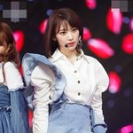 사쿠라 활동 변천사.jpg