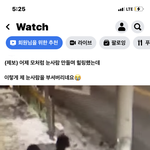 [드루와] 야 페북에 <b>눈사람</b> 줫패는거 <b>사람</b>들이 욕하던데