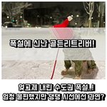 [강아지] 서울 <b>폭설</b>을 뚫고 산책하는 강아지 ㅋㅋ