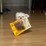 얘들아 엄마 이거 너무<b>하다</b> 추반 좀