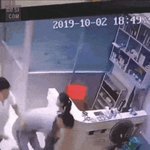 [꼭조언부탁] 파파충 소리 들어도 싼 <b>부류</b>