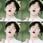 <b>앞니</b>두톨