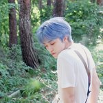 [NCT즌] <b>숲속</b> 요정이세요..