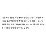 [NCT즌] 믿을수없는 <b>점프력</b>