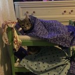 아 시 발 나 <b>별명</b> 미러볼임