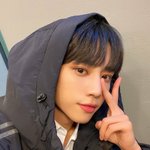 이것도 <b>일카</b>인지 아닌지 구분해줘