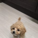 [NCT즌] 몬드 사진 여기써