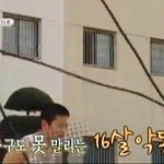 [드루와] <b>허언</b>증이랑 자부심 오지는 친구 있으면 ㄹㅇ 개피곤함