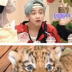[방탄소년단] <b>새벽</b>에 <b>사람</b> 없는것같으니
