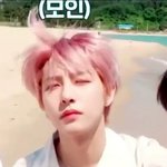 [NCT즌] ㅈㄴ <b>퓨어</b>하네