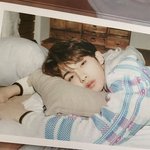 [드루와] 포카 추반좀
