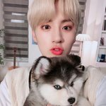 [더보이즈] 갤러리 10번째 사진 <b>풀자</b>