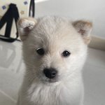 [댓글부탁해] 본진 옆선 오지는 사진 좀 풀고가줘