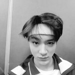 [NCT즌] 내가 제일 좋아하는 셀카