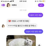 <b>이루</b>다 고양이 사진 삥 뜯는준