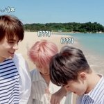 [NCT즌] 드림 <b>양양</b> 간 거였네???